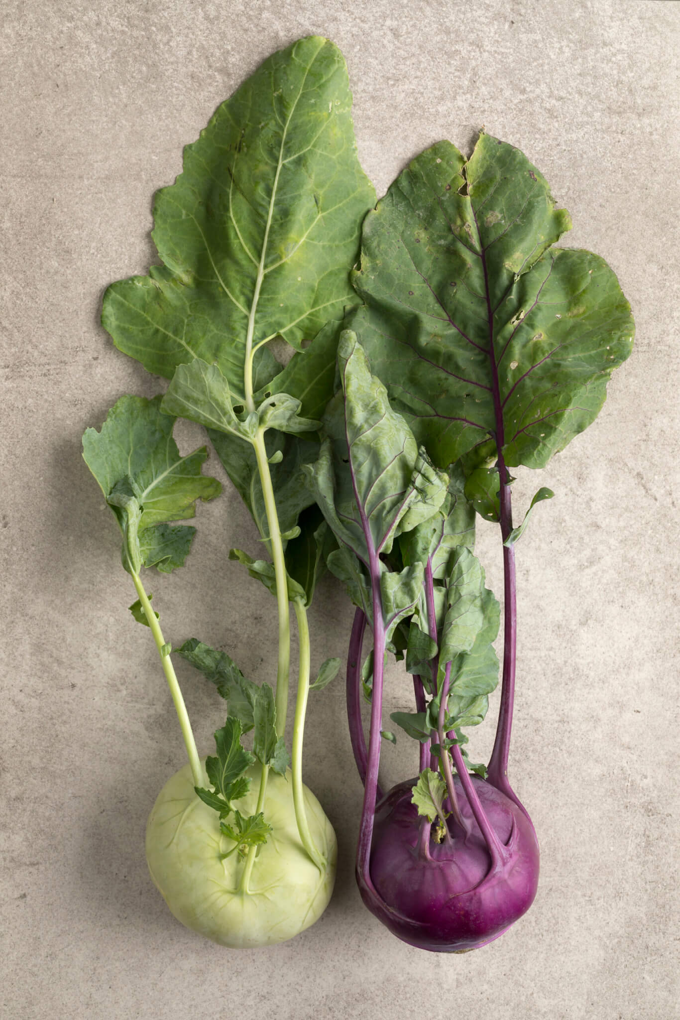 Kohlrabi-Rezepte: Vielseitig, gesund und einfach zubereitet